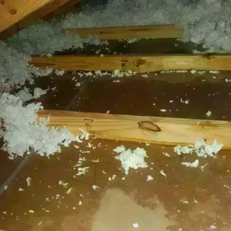 Attic Water Damage in Santa Rosa, TX