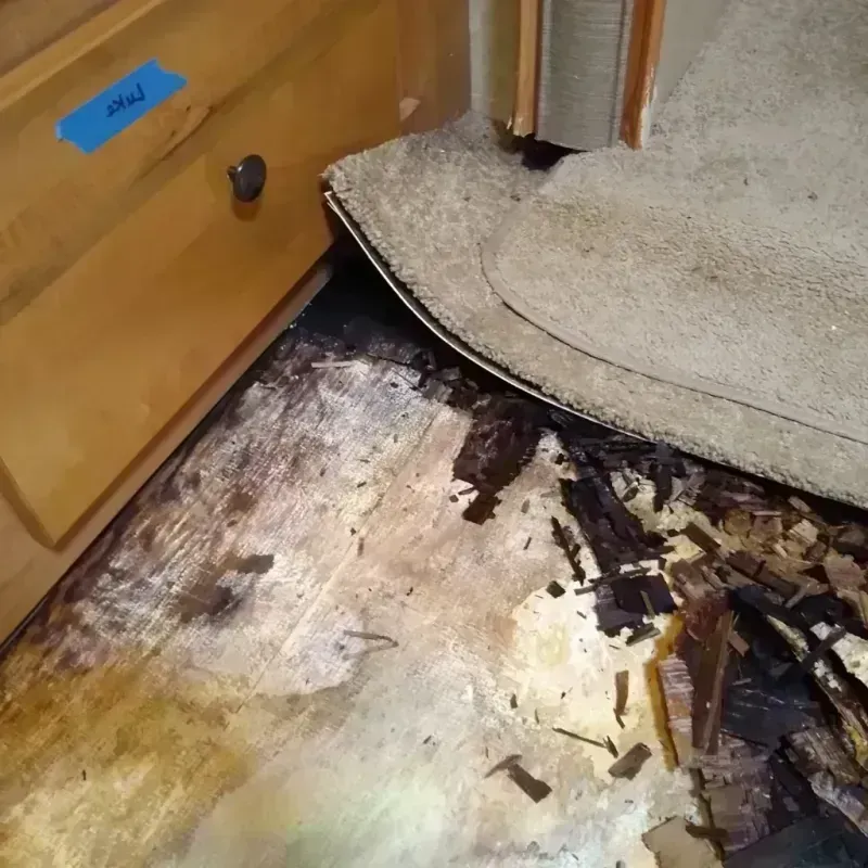 Wood Floor Water Damage in Santa Rosa, TX